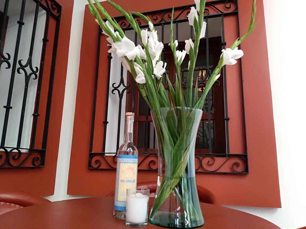 Casa Agave Oaxaca Bed and Breakfast Εξωτερικό φωτογραφία