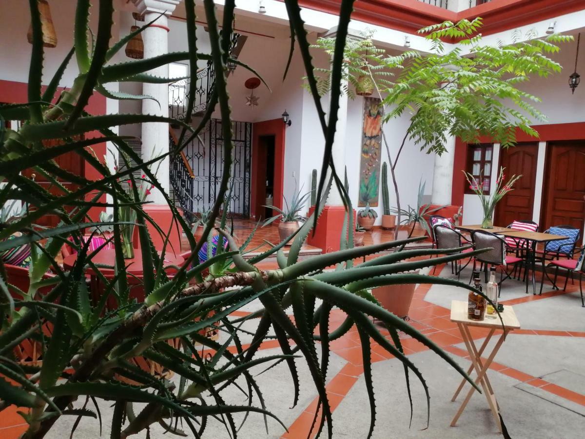 Casa Agave Oaxaca Bed and Breakfast Εξωτερικό φωτογραφία